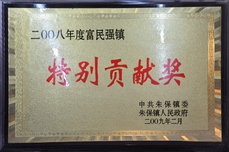 2008 Special Contribution Award for Enriching the People and Strengthening the Town