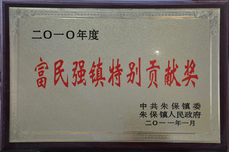 2010 Special Contribution Award for Enriching the People and Strengthening the Town